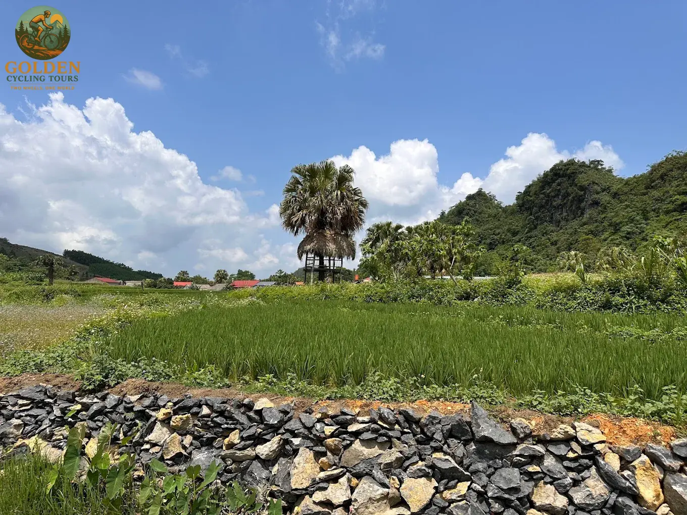 3-Day Thai Nguyen Backroad Cycling Tour: Ban Ten, Tea Hills & Nui Coc